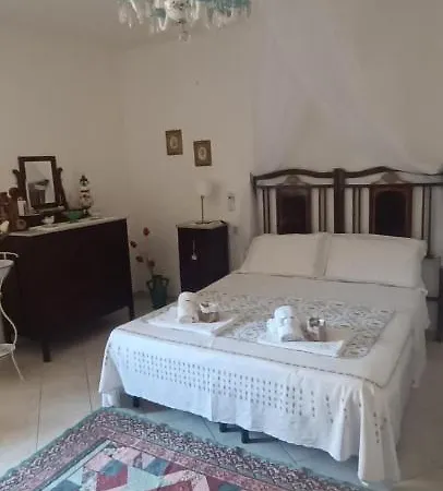 Daire Adelina E Il Bosso Policastro Bussentino