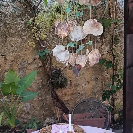 Adelina E Il Bosso *