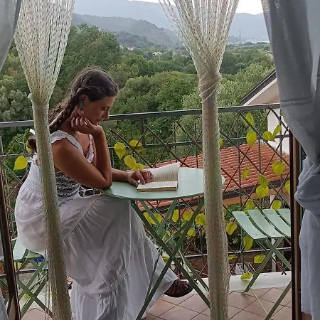 Adelina E Il Bosso Apartman Policastro Bussentino